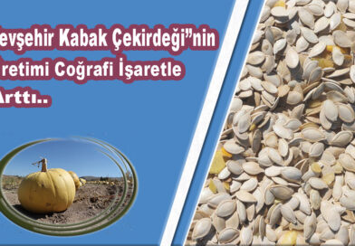 Nevşehir kabak çekirdeğinin üretimi coğrafi işaretle arttı..