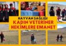 Hayvan sağlığı kadın Veteriner Hekimlere emanet..