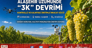 Alaşehir’de Sultaniye Üzümüne “3K” Kalkanı: Kalıntısız ve Teknolojik Üretim Başladı…