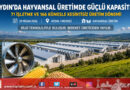 Aydın’da Hayvansal Üretim Gücü: 71 İşletme ve 166 Kümesle Kesintisiz Üretim…