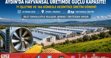 Aydın’da Hayvansal Üretim Gücü: 71 İşletme ve 166 Kümesle Kesintisiz Üretim…