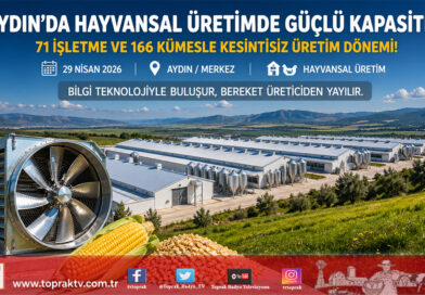Aydın’da Hayvansal Üretim Gücü: 71 İşletme ve 166 Kümesle Kesintisiz Üretim…