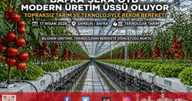 Bafra’da Modern Tarım Atağı: Sera OTB 2026’da Tam Kapasite Üretime Hazırlanıyor…