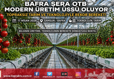 Bafra’da Modern Tarım Atağı: Sera OTB 2026’da Tam Kapasite Üretime Hazırlanıyor…