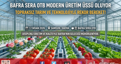 Bafra’da Modern Tarım Atağı: Sera OTB 2026’da Tam Kapasite Üretime Hazırlanıyor…