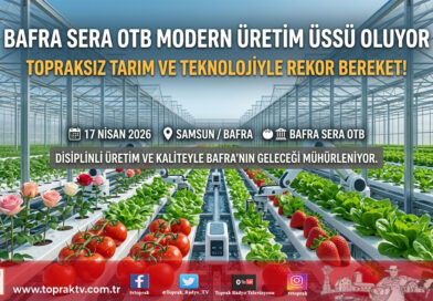 Bafra’da Modern Tarım Atağı: Sera OTB 2026’da Tam Kapasite Üretime Hazırlanıyor…