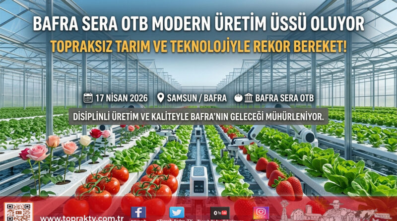 Bafra’da Modern Tarım Atağı: Sera OTB 2026’da Tam Kapasite Üretime Hazırlanıyor…