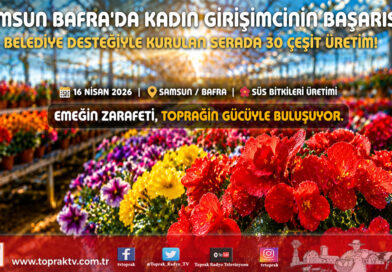 Bafra’da Çiçek Açan Başarı: Ev Hanımıydı, Belediye Desteğiyle Süs Bitkileri Üreticisi Oldu…