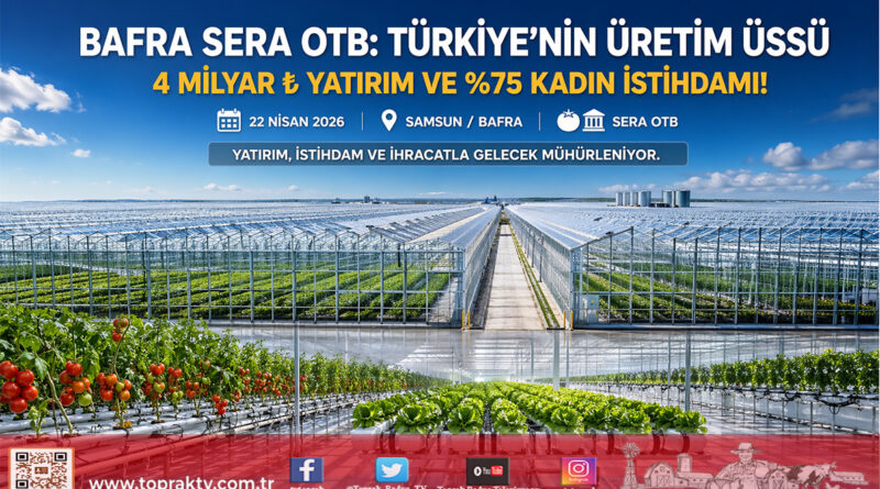 Karadeniz’in Yeni Üretim Kalesi: Bafra Sera OTB 4 Milyar ₺ Yatırımla Yükseliyor…