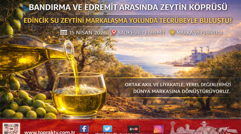 Zeytinin Başkentinde Güç Birliği: Bandırma ve Edremit Arasında Markalaşma Köprüsü Kuruldu…