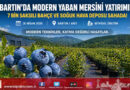 Bartın’da Yaban Mersini Hamlesi: Çöpbey Köyü’nde İyi Tarım Temelli Modern Yatırım İncelendi…