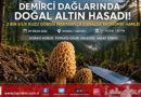 Demirci Dağlarında Değerli Mesai: Kuzu Göbeği Mantarı Kırsal Ekonomiye Can Suyu Oluyor…