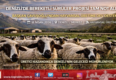 Denizli’de Bereketli Sürüler Dönemi: Başkan Çavuşoğlu’ndan Hayvansal Üretime Dev Destek…