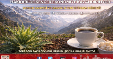 Hakkâri’nin Saklı Cevheri Kenger Ekonomiye Kazandırılıyor: Prof. Dr. Özgökçe’den İstihdam Hamlesi…