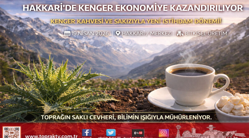 Hakkâri’nin Saklı Cevheri Kenger Ekonomiye Kazandırılıyor: Prof. Dr. Özgökçe’den İstihdam Hamlesi…