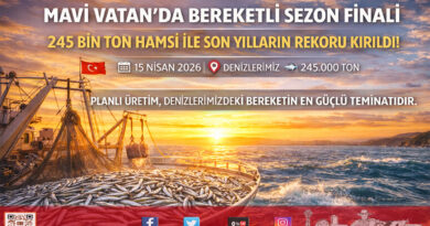 Denizlerde Sezon Finali: 245 Bin Tonluk Hamsi Bereketi Sofralara Taşındı…