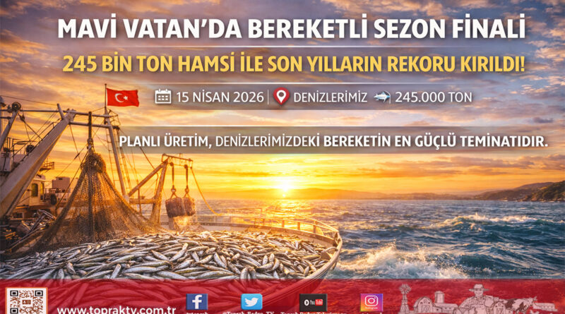Denizlerde Sezon Finali: 245 Bin Tonluk Hamsi Bereketi Sofralara Taşındı…
