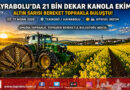Hayrabolu’da Altın Seferberlik: 21 Bin Dekar Kanola ile Rekor Beklentisi…