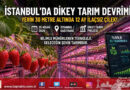 İstanbul’un 30 Metre Altında Çilek Devrimi: Lojistik Masrafsız, 12 Ay Kesintisiz Üretim…