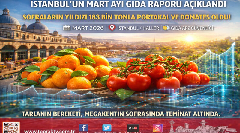 İstanbul’un Mart Ayı Tercihi Belli Oldu: Sofraların Yıldızı Portakal ve Domates…