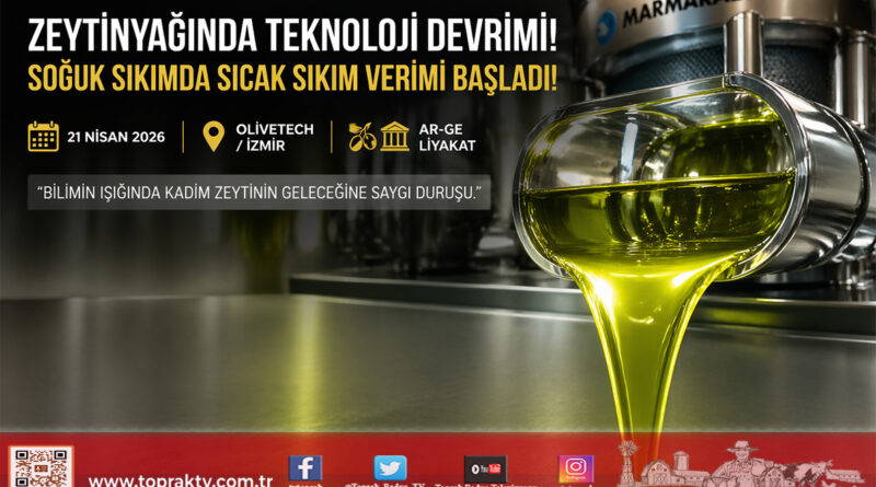 Zeytinyağında Teknoloji Devrimi: Soğuk Sıkımda Sıcak Sıkım Verimi Dönemi Başlıyor…