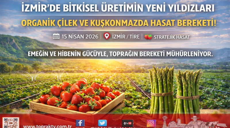 İzmir’de Üretimin Yeni Yıldızları: Organik Çilek ve Kuşkonmazda Hasat Heyecanı…