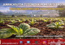 Karacasu’da Tütün Dikimi Başladı: Üreticinin Gözü Şirketlerden Gelecek Avanslarda…