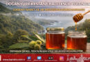 Doğanyurt Kestane Balında Coğrafi İşaret Hamlesi: Avrupa Vizyonu İçin İlk Adım Atıldı…