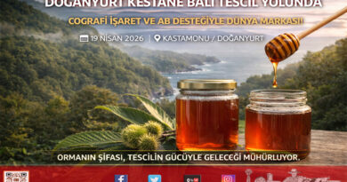 Doğanyurt Kestane Balında Coğrafi İşaret Hamlesi: Avrupa Vizyonu İçin İlk Adım Atıldı…