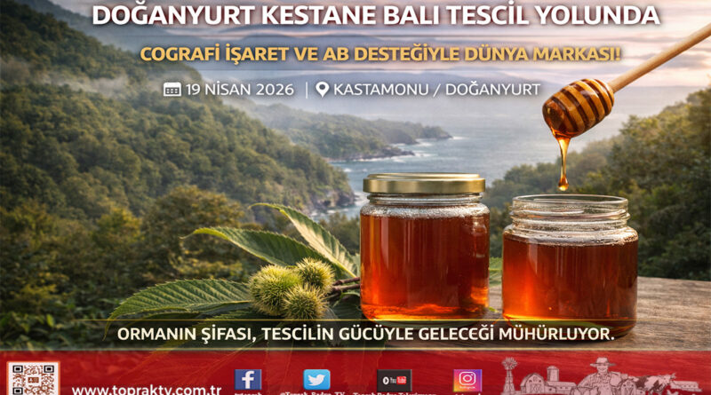 Doğanyurt Kestane Balında Coğrafi İşaret Hamlesi: Avrupa Vizyonu İçin İlk Adım Atıldı…