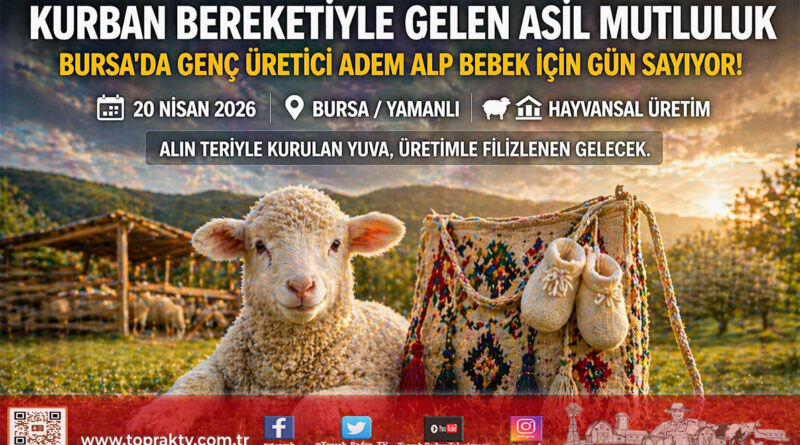 Mustafakemalpaşa’da Çifte Bayram: Kurban Bereketiyle Evlendi, Şimdi “Adem Alp”i Bekliyor…