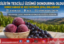 Kilis’in Tescilli Horoz Karası Üzümü Dondurmaya Dönüştü: Hem Şifa Hem Lezzet…