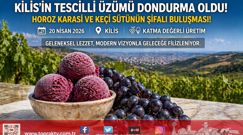Kilis’in Tescilli Horoz Karası Üzümü Dondurmaya Dönüştü: Hem Şifa Hem Lezzet…