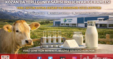Kozan’ın Yerli Değeri Güney Sarısı İçin AR-GE Hamlesi: Süt Verimi Katma Değere Dönüşüyor…