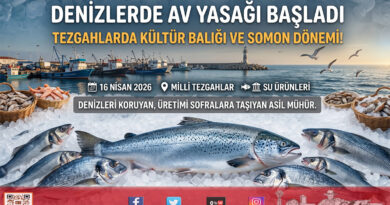 Denizlerde Av Yasağı Başladı: Tezgahlarda Somon ve Kültür Balığı Dönemi…