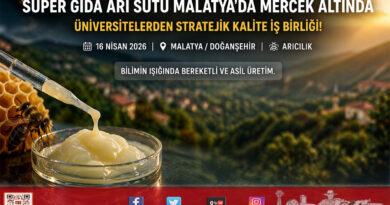 Malatya’da Arı Sütü Bilimsel Mercek Altında: “Gençlik İksiri” İçin Kalite Formülü Belirlendi…