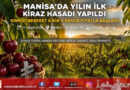Manisa’da “Kırmızı Altın” Hasadı Başladı: Sezonun İlk Kirazı Kilogramı 6 Bin ₺’den Alıcı Buldu…