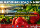 Köprübaşı Çileğinde Bereket Yılı: Suyla Gelen Verim Çiftçinin Yüzünü Güldürdü…
