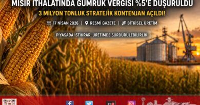 Mısır İthalatında Gümrük Vergisi %5’e Düşürüldü: 3 Milyon Tonluk Tarife Kontenjanı Açıldı…