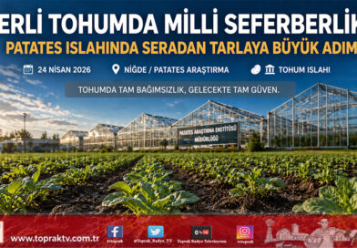 Yerli Patateste Islah Seferberliği: Yeni Sezonun İlk Fideleri Toprakla Buluştu…