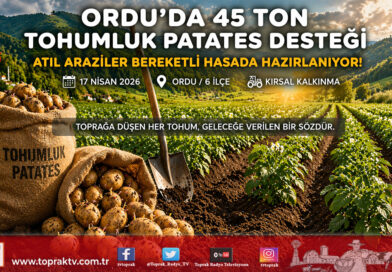 Ordu’da Patates Seferberliği: 45 Ton Tohumluk Destekle Atıl Araziler Filizleniyor…