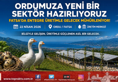 Ordu’da Tarımsal Rönesans: Fatsa Dev Bir Üretim Üssüne Dönüştü…
