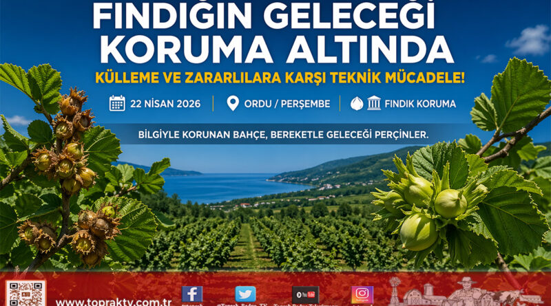 Ordu’da Fındık Seferberliği: Külleme ve Kozalak Akarına Karşı Teknik Mücadele…