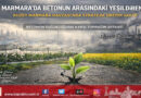 Sanayinin Gölgesinde Bir Karış Toprak Mücadelesi: Kuzey Marmara Havzası ve Betonun Arasındaki Yeşil Direniş…