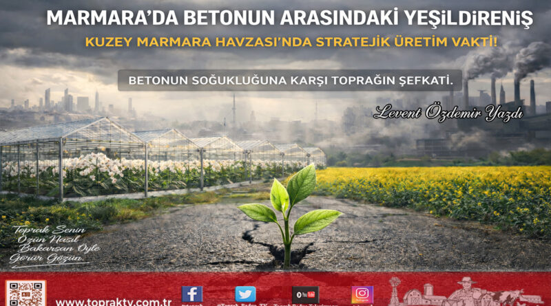 Sanayinin Gölgesinde Bir Karış Toprak Mücadelesi: Kuzey Marmara Havzası ve Betonun Arasındaki Yeşil Direniş…