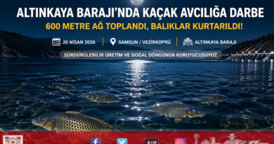 Altınkaya Baraj Gölü’nde Sürdürülebilir Üretim Nöbeti: Kaçak Avcılığa Geçit Yok…