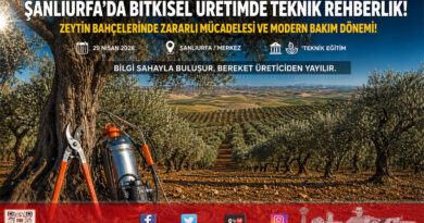 Şanlıurfa’da Bitkisel Üretimde Bahar Mesaisi: Zeytin Bahçelerinde Zararlı Mücadelesi ve Bakım Seferberliği…