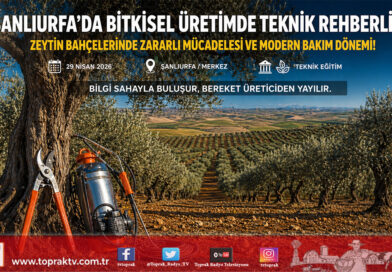 Şanlıurfa’da Bitkisel Üretimde Bahar Mesaisi: Zeytin Bahçelerinde Zararlı Mücadelesi ve Bakım Seferberliği…