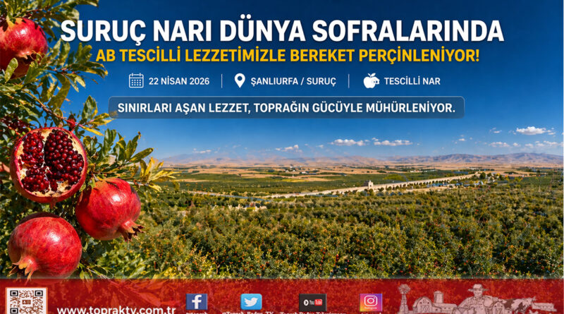 Bereketli Hilal’in Tescilli İmzası: Suruç Narı Dünya Sofralarında…