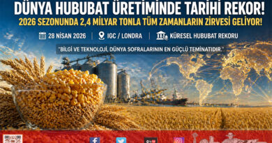 Küresel Tahılda Tarihi Rekor: 2026 Sezonunda Hububat Üretimi 2,4 Milyar Tonu Aşacak…